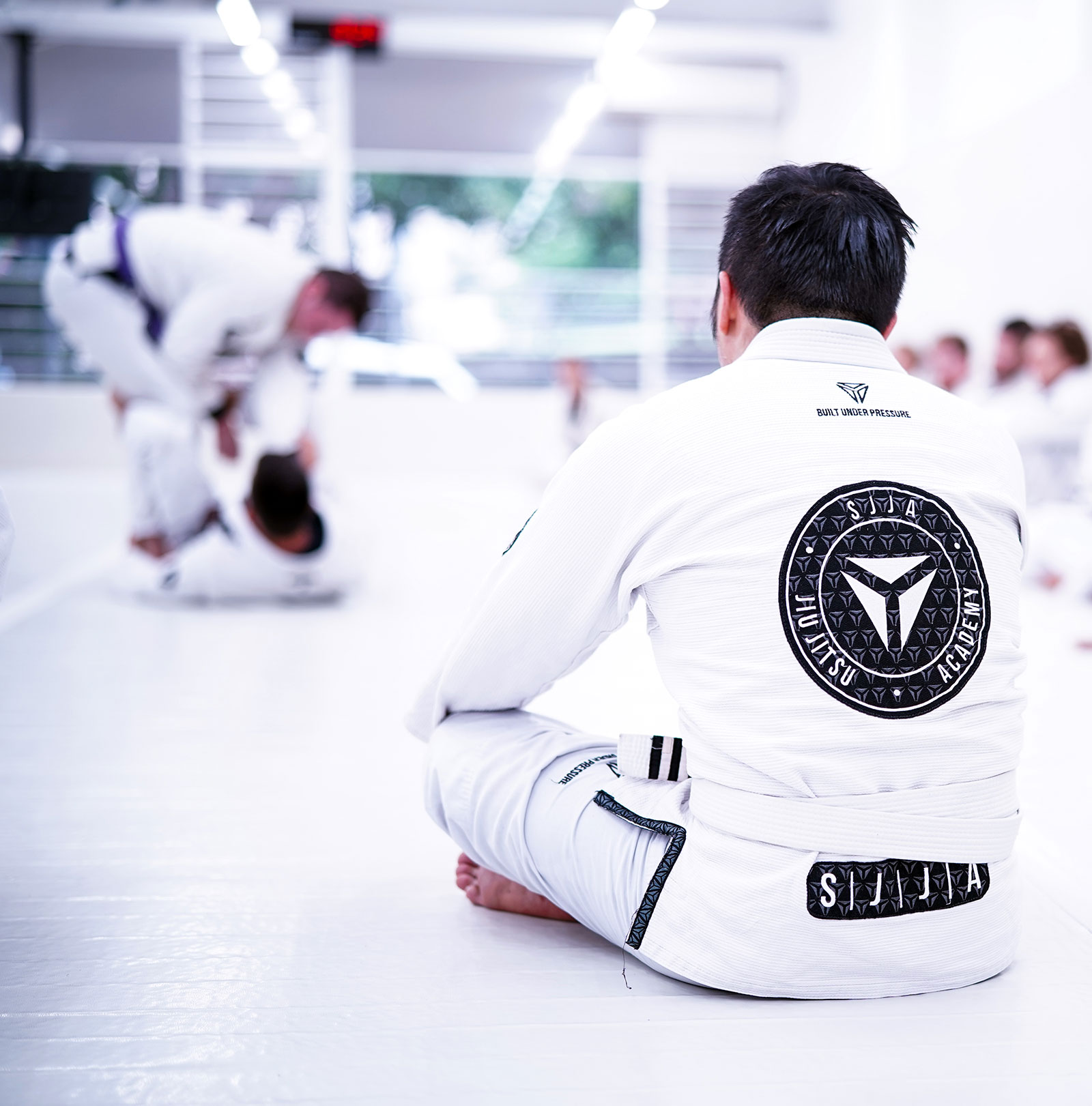 Jiu Jitsu Fundamentals Program in Sydney